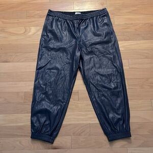 Aritzia Babaton | Faux Leather Joggers | Pull On | Dark Blue | Soft Lined | 2XL